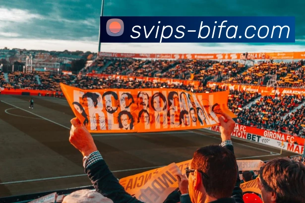 BIFA必发官网服务体系